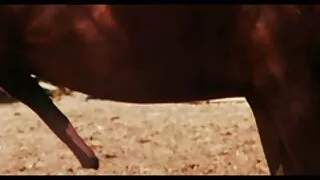 המראה של סרטי פורנו לצפייה חינם ליווי תמיד עובד כקסם - 2022-03-17 05:13:59