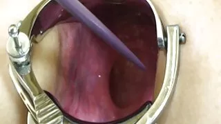 דברים פורנו נשים מבוגרות מוצצות לצפיה חינם למכירה אחרים לפורקים - 2022-02-26 06:02:21